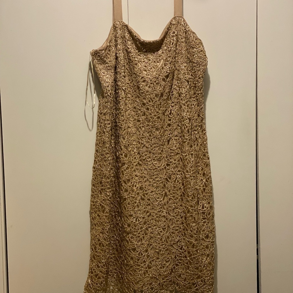 Elegant Tan Lace Dress